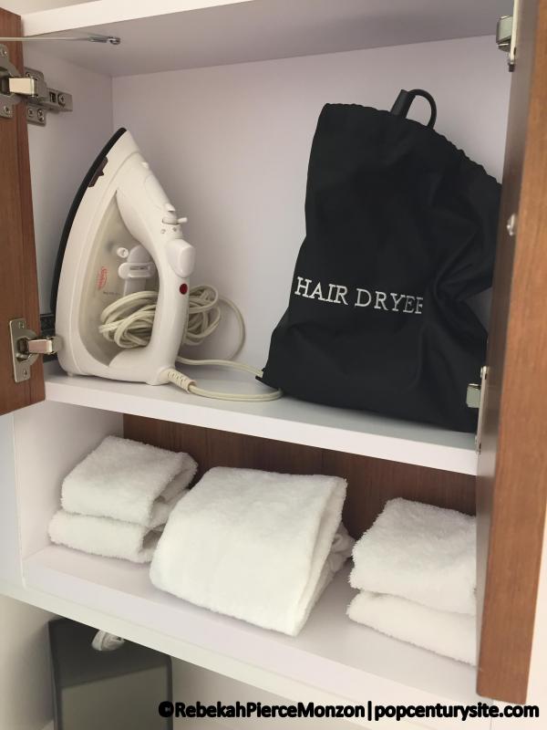 Hair dryer and iron