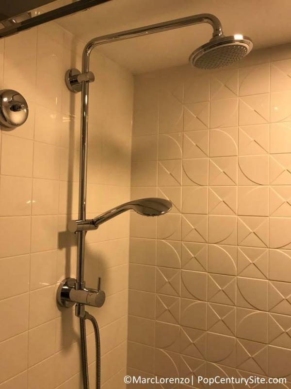 Shower in refurbished room